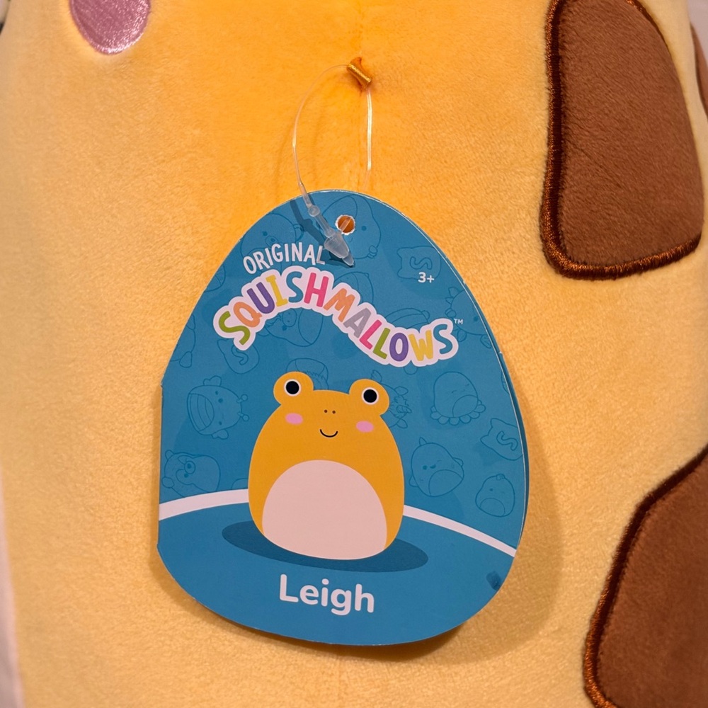 Leigh - Picture 6 of 8